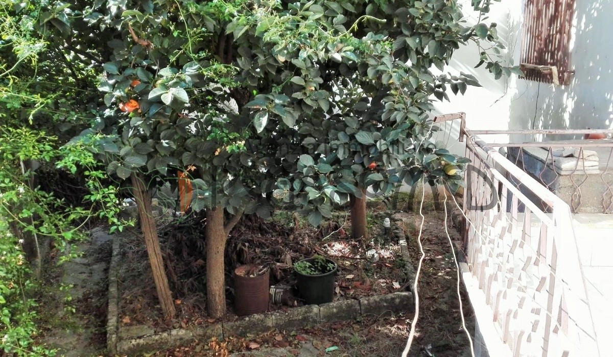 Carovigno, Tre locali, Giardino interno, Casa indipendente, Primo piano