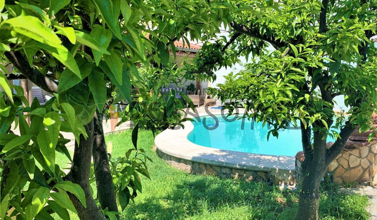 San Vito dei Normanni, ,Casa Indipendente,In vendita,1207 villa piscina Pegaso med  agenzia immobiliare