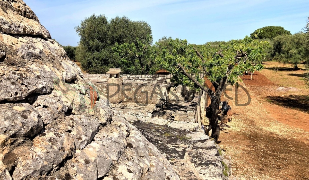 pegaso med agenzia immobiliare puglia carovigno san vito dei normanni salento trullo