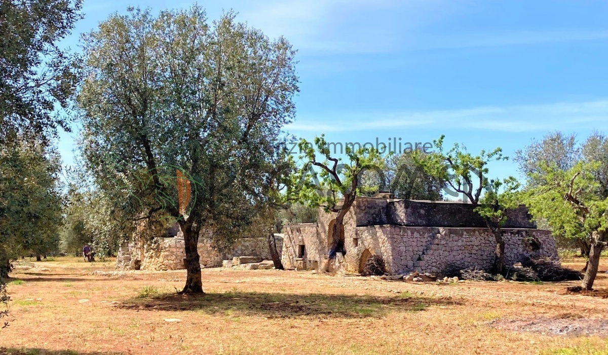 pegaso med agenzia immobiliare puglia carovigno san vito dei normanni salento trullo