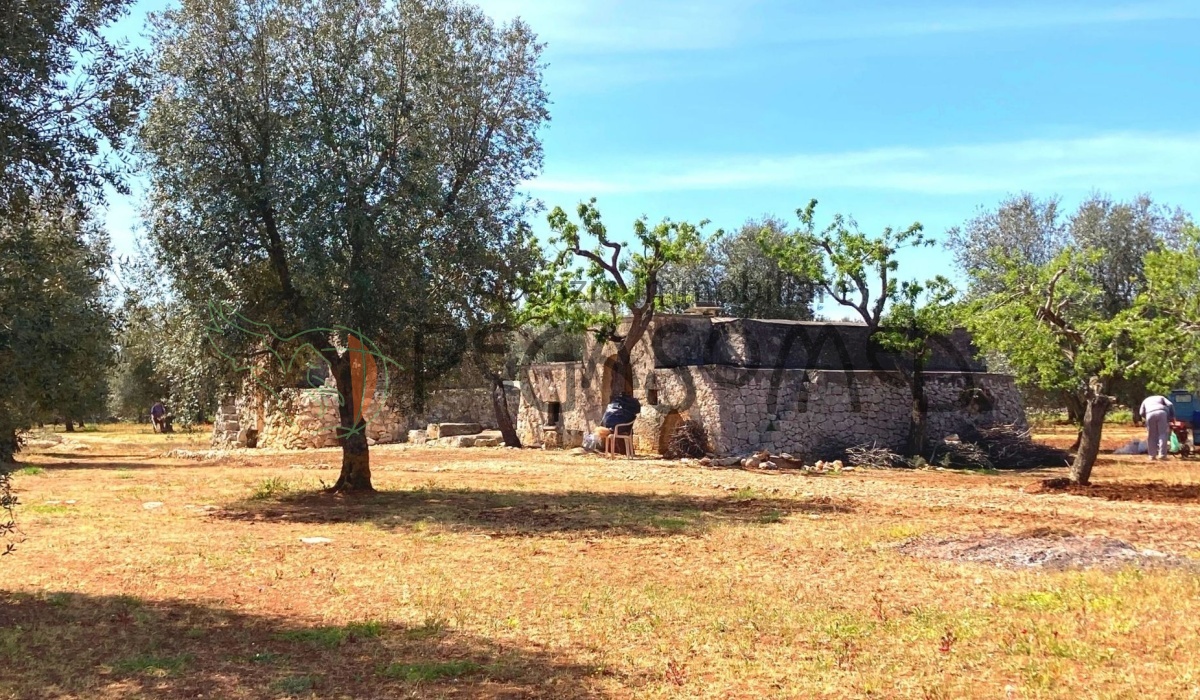 pegaso med agenzia immobiliare puglia carovigno san vito dei normanni salento trullo