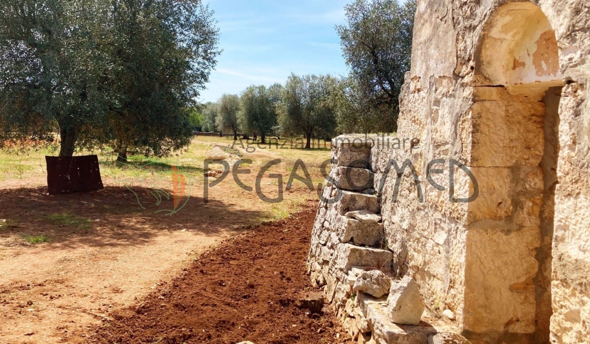 pegaso med agenzia immobiliare puglia carovigno san vito dei normanni salento trullo