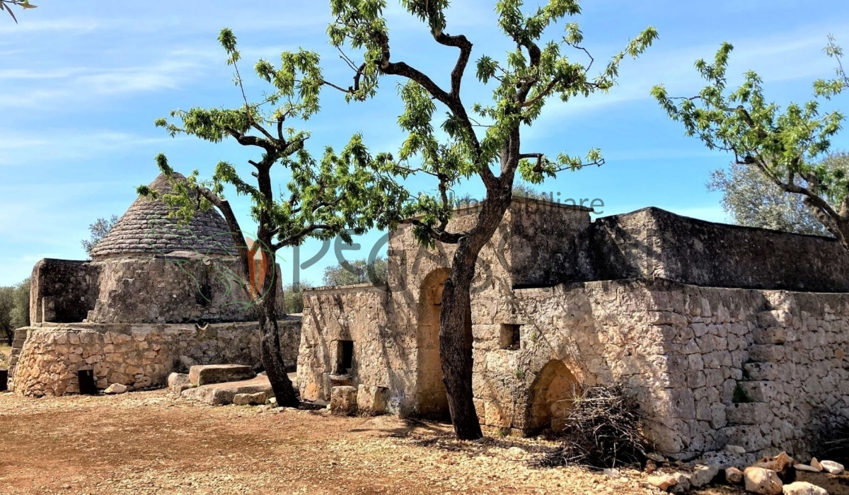 pegaso med agenzia immobiliare puglia carovigno san vito dei normanni salento trullo