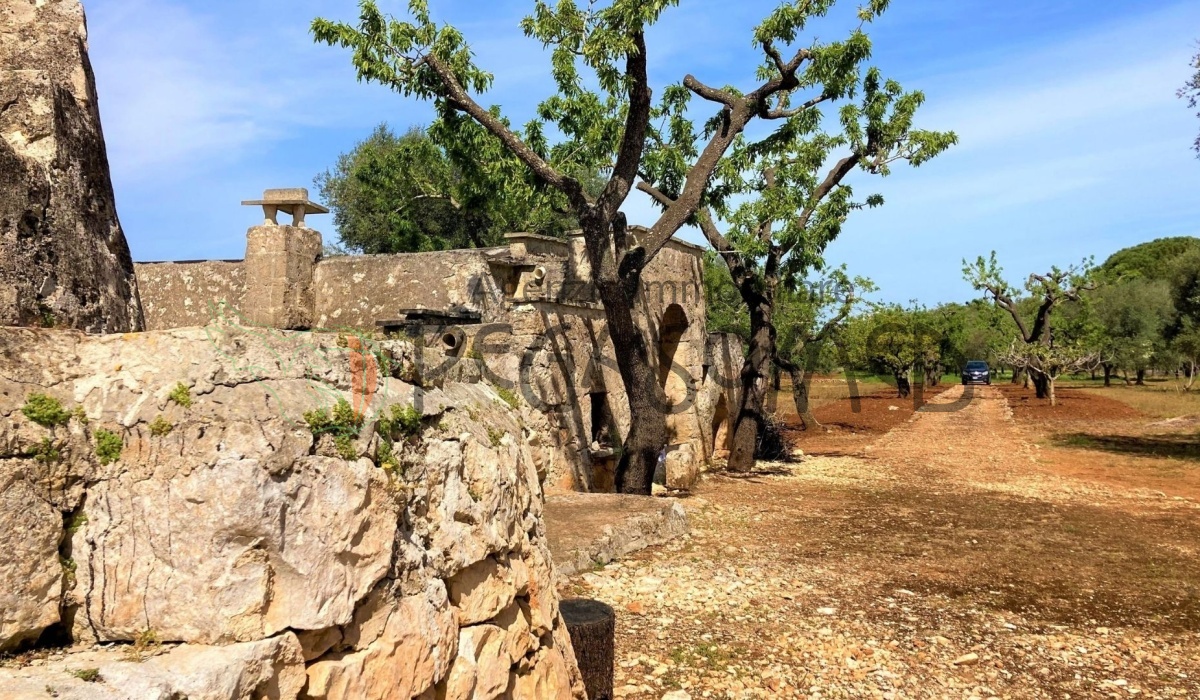 pegaso med agenzia immobiliare puglia carovigno san vito dei normanni salento trullo