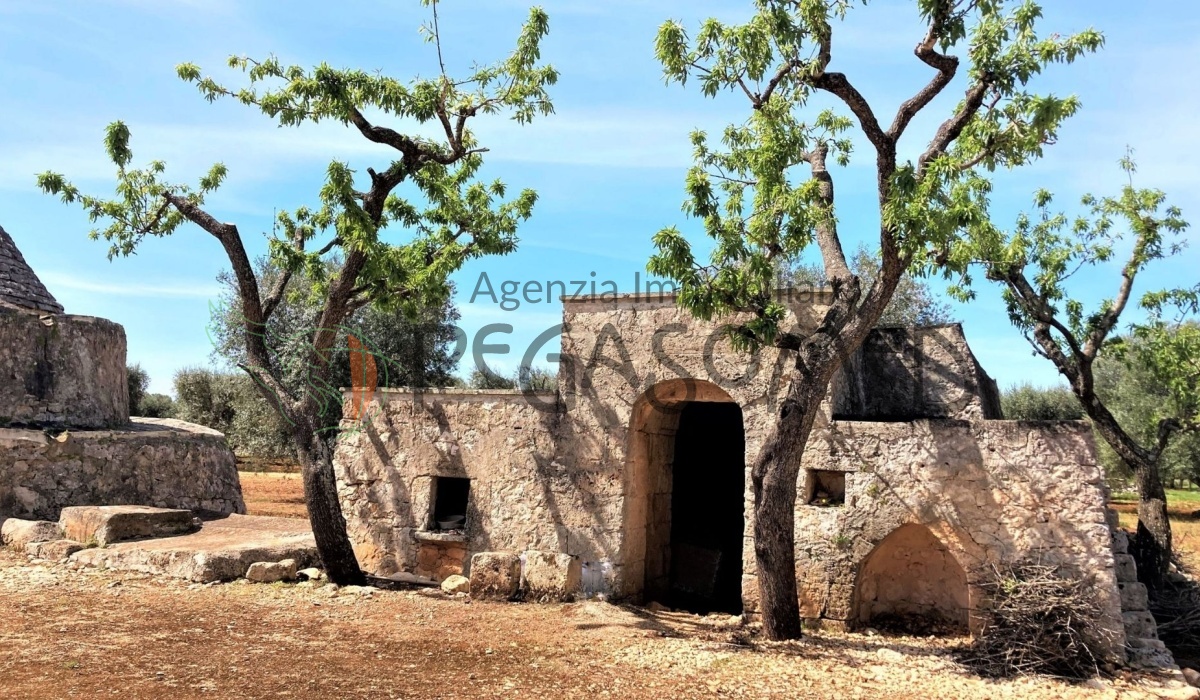 pegaso med agenzia immobiliare puglia carovigno san vito dei normanni salento trullo