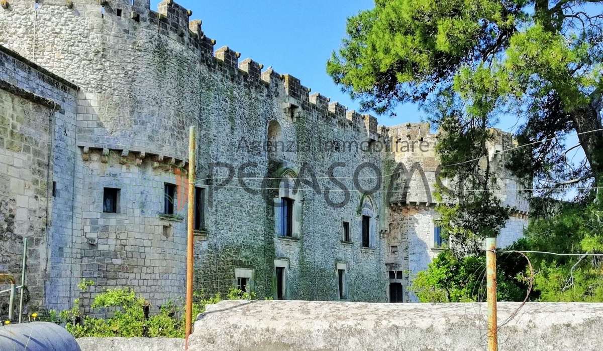 Casa Storica, Puglia, Vista Panoramica, Centro storico, Castello Dentice di Frasso, Salento 