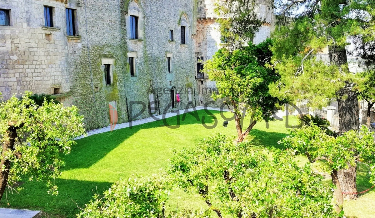 Casa Storica, Puglia, Vista Panoramica, Centro storico, Castello Dentice di Frasso, Salento 